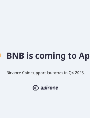 BNB integration announced for Q4 2025 in Apirone’s cryptogateway
